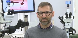 Polscy naukowcy badają interakcje koronawirusa z ludzkimi komórkami. Chcą umożliwić szybsze testowanie leków